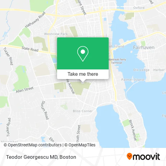 Teodor Georgescu MD map