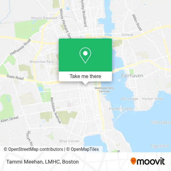 Tammi Meehan, LMHC map