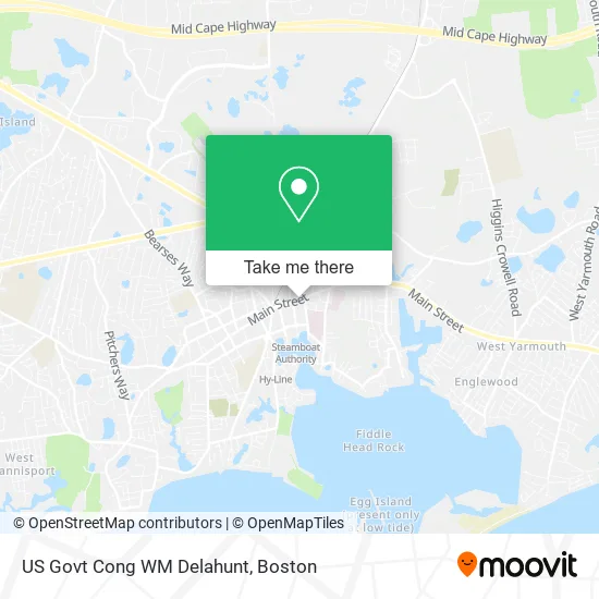 US Govt Cong WM Delahunt map