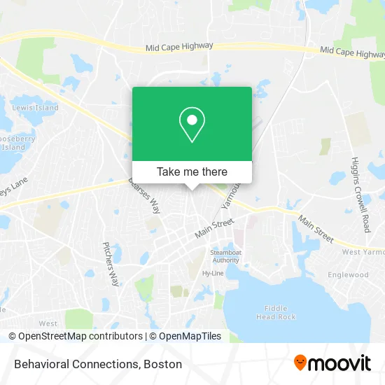 Behavioral Connections map