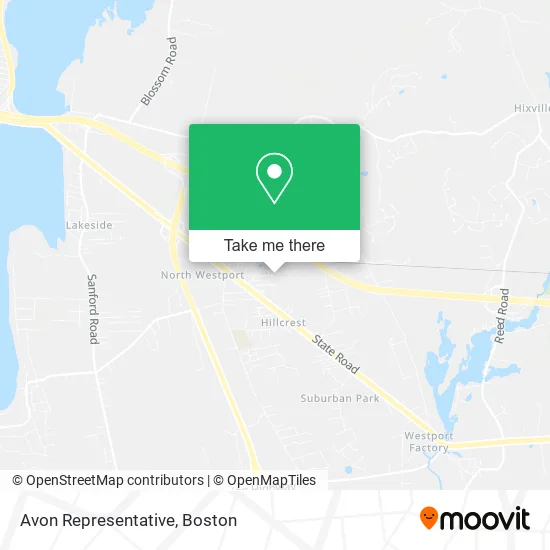 Avon Representative map