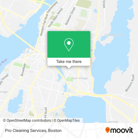Pro Cleaning Services map