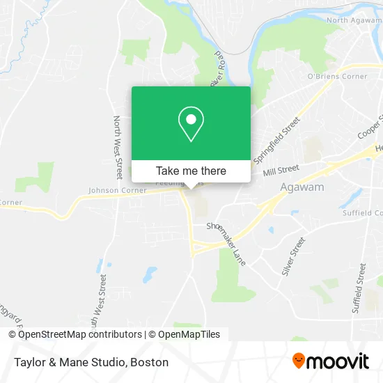 Taylor & Mane Studio map