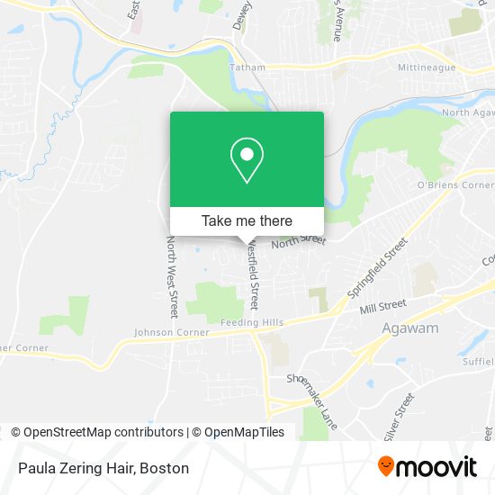 Paula Zering Hair map