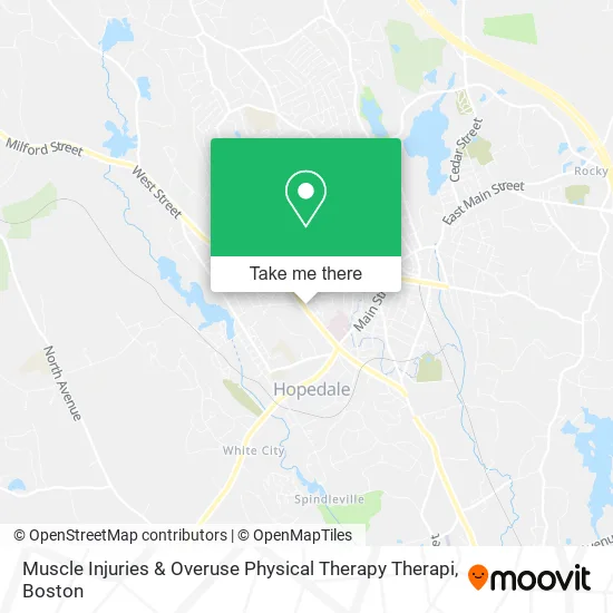 Muscle Injuries & Overuse Physical Therapy Therapi map