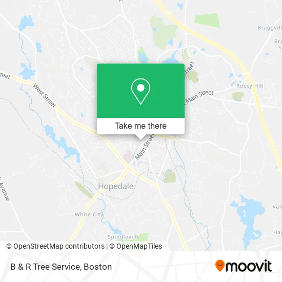 B & R Tree Service map