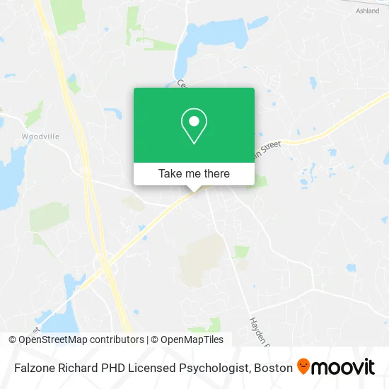 Falzone Richard PHD Licensed Psychologist map