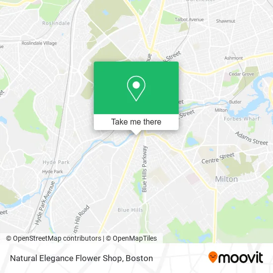 Natural Elegance Flower Shop map