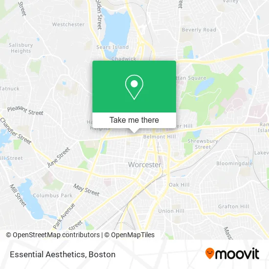 Essential Aesthetics map