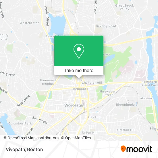 Vivopath map