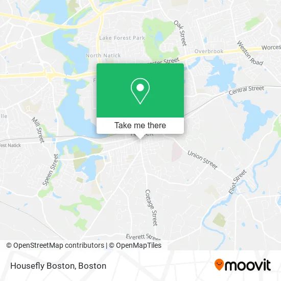 Housefly Boston map
