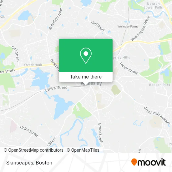 Skinscapes map