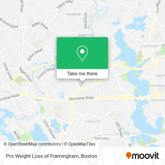Pro Weight Loss of Framingham map