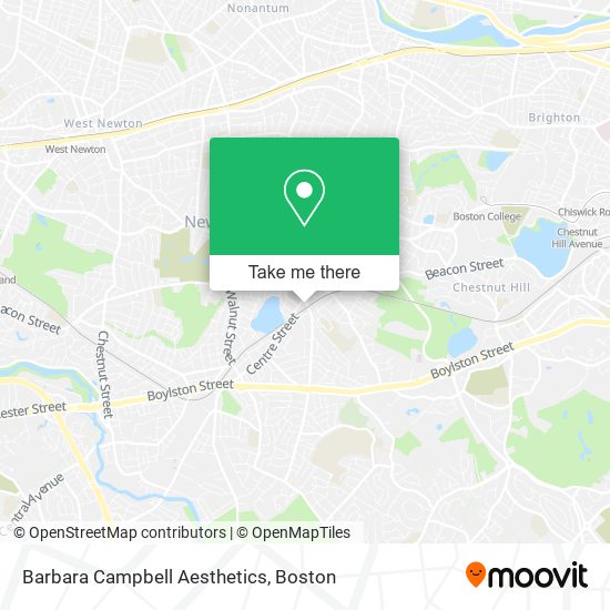 Barbara Campbell Aesthetics map