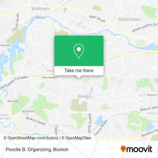 Poodle B. Organizing map