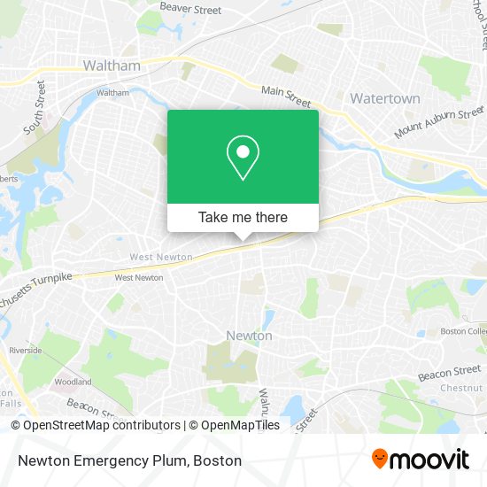 Mapa de Newton Emergency Plum
