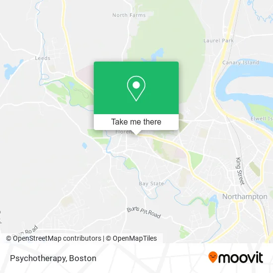Psychotherapy map