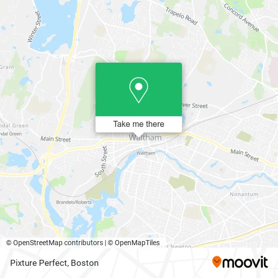 Pixture Perfect map