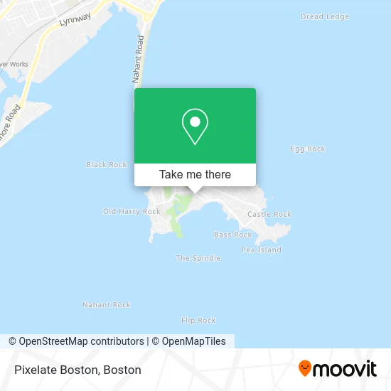 Pixelate Boston map