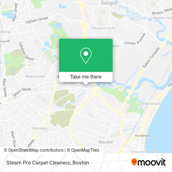 Steam Pro Carpet Cleaners map