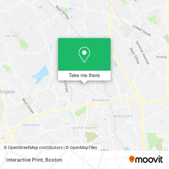 Interactive Print map