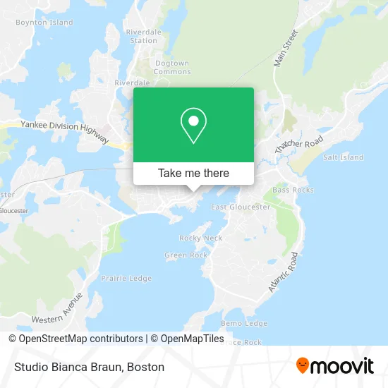 Studio Bianca Braun map