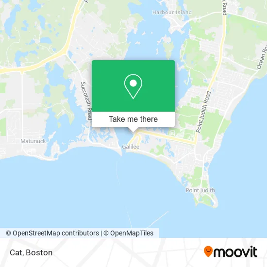 Cat map