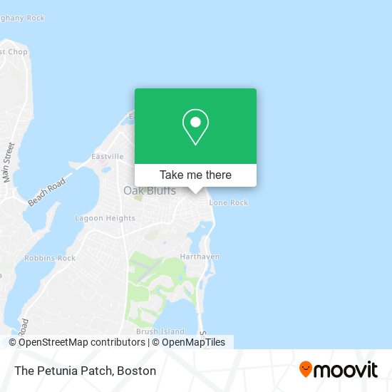 Mapa de The Petunia Patch