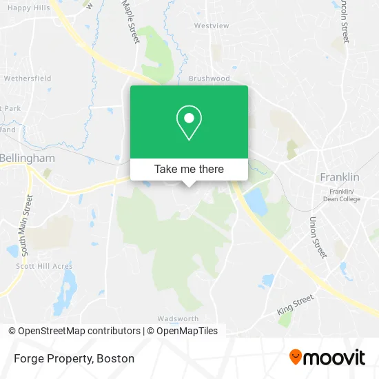 Mapa de Forge Property