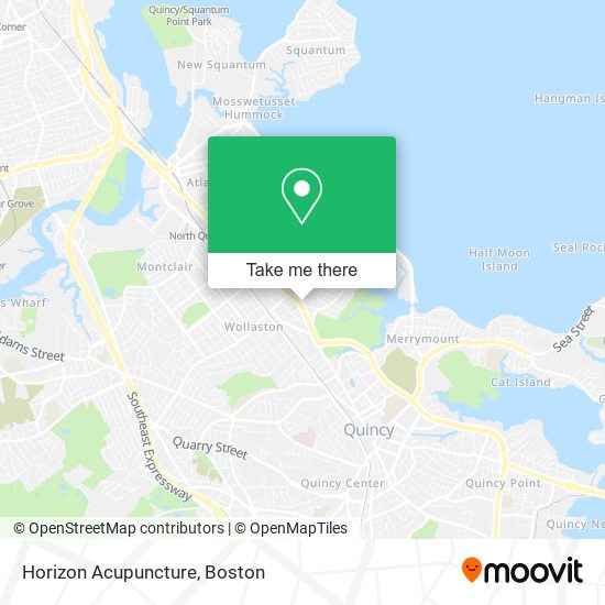 Mapa de Horizon Acupuncture