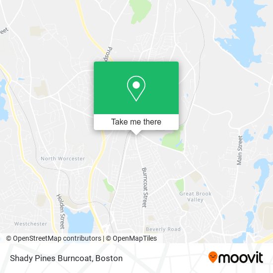 Mapa de Shady Pines Burncoat