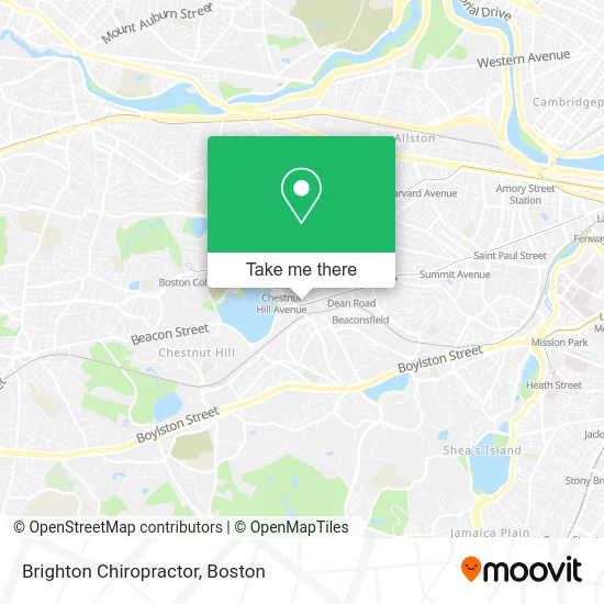 Brighton Chiropractor map