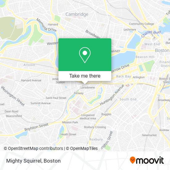 Mapa de Mighty Squirrel