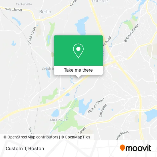 Custom T map