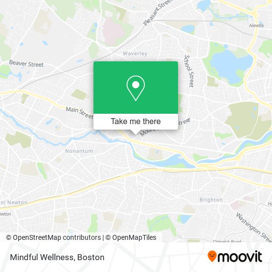 Mapa de Mindful Wellness