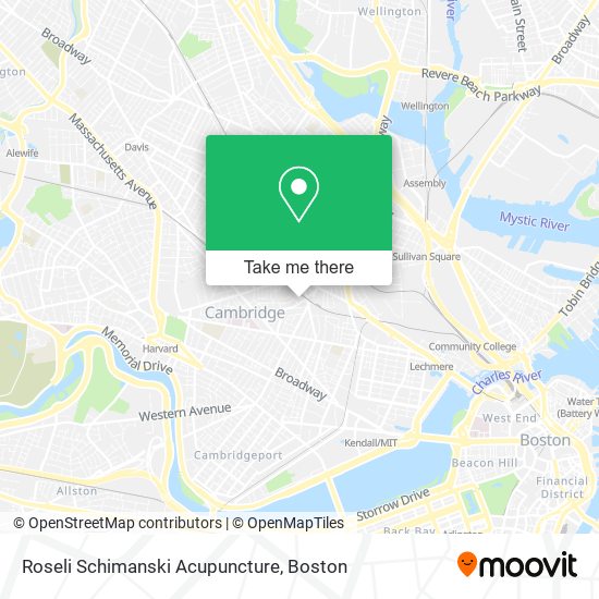 Roseli Schimanski Acupuncture map