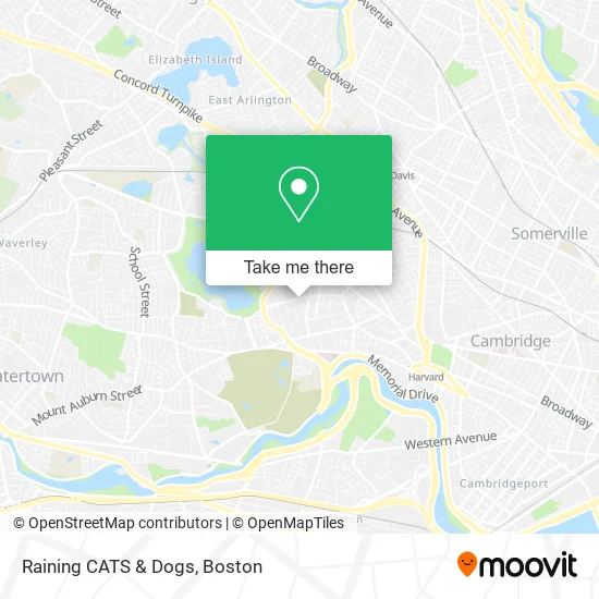 Raining CATS & Dogs map