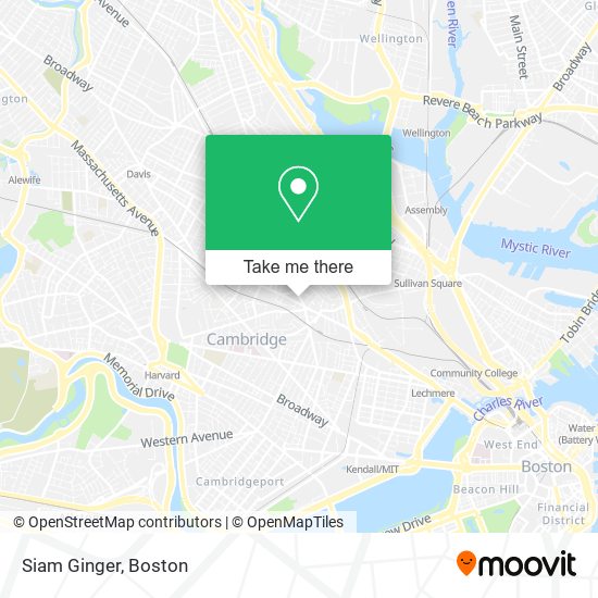 Mapa de Siam Ginger