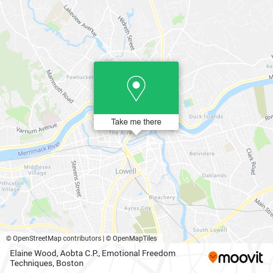 Elaine Wood, Aobta C.P., Emotional Freedom Techniques map