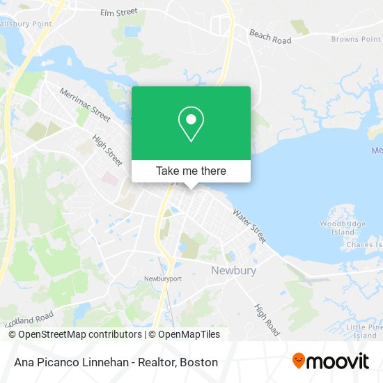 Ana Picanco Linnehan - Realtor map