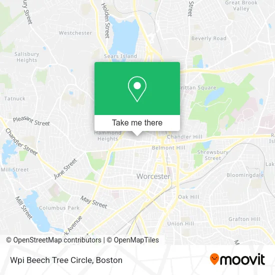 Wpi Beech Tree Circle map