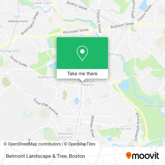 Mapa de Belmont Landscape & Tree