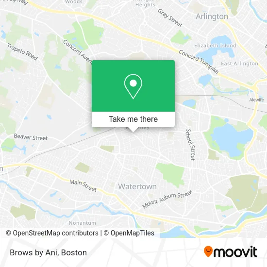 Brows by Ani map