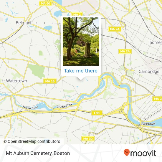 Mapa de Mt Auburn Cemetery