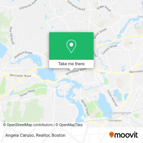 Angela Caruso, Realtor map