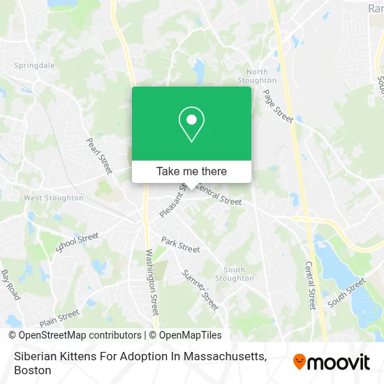Siberian Kittens For Adoption In Massachusetts map