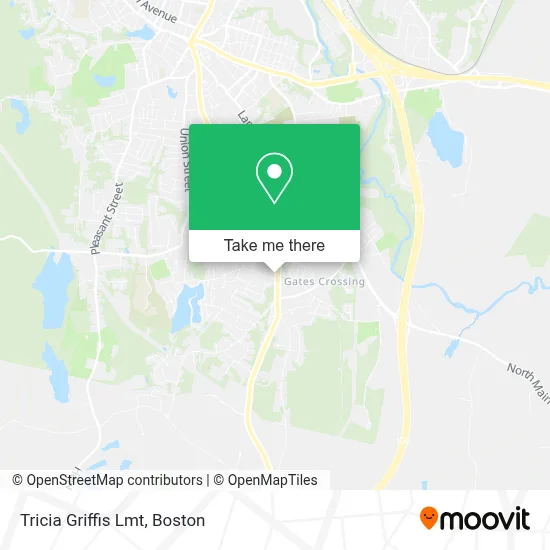 Tricia Griffis Lmt map