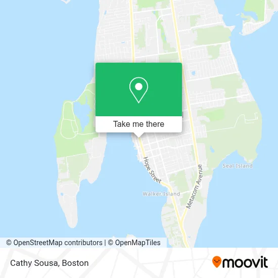 Cathy Sousa map