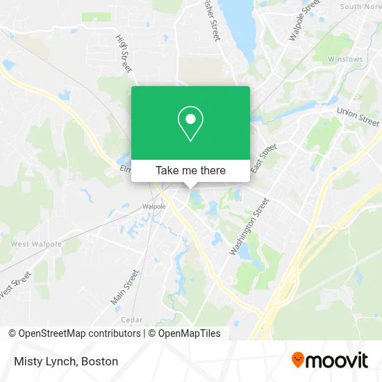 Misty Lynch map