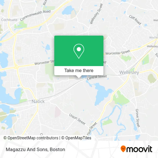 Magazzu And Sons map
